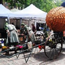 TG Dapper Bolster [foto Margo van Asten]
